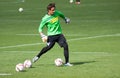 Goalkeeper Yann Sommer in dress of Borussia Monchengladbach