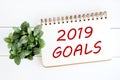 2019 goals on brown notebook paper at office desk background, ba Royalty Free Stock Photo