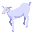 Goat animal icon, isometric style Royalty Free Stock Photo