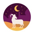 goat in the arabic night Royalty Free Stock Photo