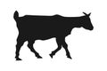 Goat black silhouette isolated on white background, vector eps 10 Royalty Free Stock Photo