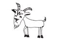 Goat cartoon illustration Royalty Free Stock Photo