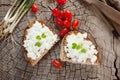 Goat cheese on bread Royalty Free Stock Photo