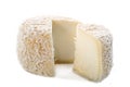 Goat cheese crottin de chavignol Royalty Free Stock Photo