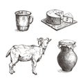 Goat, cheese, earthenware jug and cup. Vintage illustration.