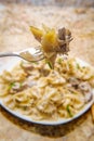 Goat Cheese Mushroom Stroganoff Royalty Free Stock Photo