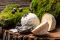 Goat cheeses crottin de chavignol. Soft french cheese with ash, goat cheeses, home made cheese farmer. The concept of Royalty Free Stock Photo