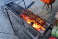 Goat, chicken, pork and fish meat stuck on a stick on a plate with marinade ready for grilling. Traditional Indonesian dish