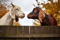 a goat and a cow staring at each other across a fence Royalty Free Stock Photo