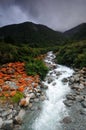 Goat Creek in the storm Royalty Free Stock Photo