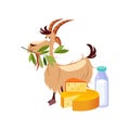 Goat Eating A Branch And Set Of Cheese And Milk Dairy Food, Farm And Farming Related Illustration In Bright Cartoon Royalty Free Stock Photo