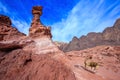 Goat in the Eilat Mountains