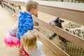 Goat Encounter - Orange County Zoo - Orange, CA