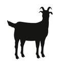 goat farm animal Royalty Free Stock Photo