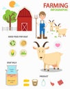 Goat farm infographics,illustration