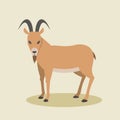 Goat In Flat Style Royalty Free Stock Photo