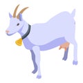 Goat with gold bell icon, isometric style Royalty Free Stock Photo