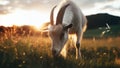 Goat grazing at sunset, AI generated illustration, realistic