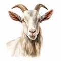 Goat Head Illustration: Realistic Portrait In Persian Miniature Style