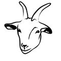 Goat head logo