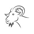 goat head sketch Royalty Free Stock Photo