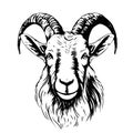 goat head vector Royalty Free Stock Photo