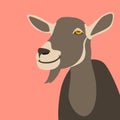 Goat head vector illustration flat style front Royalty Free Stock Photo