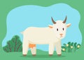 Cattle Character Pasturing on Summer Meadow Vector