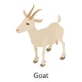 Goat icon, isometric style Royalty Free Stock Photo