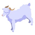 Goat icon, isometric style Royalty Free Stock Photo