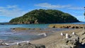 Goat Island Marine Reserve, popular for beach activities and snorkelling Royalty Free Stock Photo