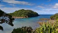 Goat Island Marine Reserve, popular for snorkeling in New Zealand