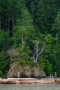 Goat island in the San Juan Islands, beautiful trees and coastline as a nature background