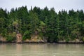 Goat island in the San Juan Islands, beautiful trees and coastline as a nature background
