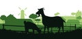 Goat with kid grazing on meadow rural village. Picture silhouette. Farm pets. Animals for milk and dairy products