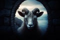 a goat looking through a stone window