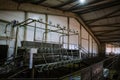 Goat milking equipment on farm