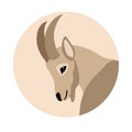 Goat mountain head vector illustration style Flat profile