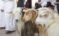 Goat at Nizwa Habta Market