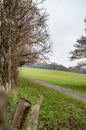 The goat path in the rural areas of uk