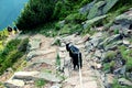 Goat ridges- Czech republic Giant Mountains