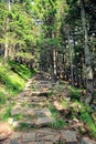 Goat ridges- Czech republic Giant Mountains