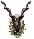 A goat`s head with large screw horns and thick hair looks straight full face oval composition decorated with bell flowers and gra