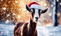 goat in santa's hat year of the goat. Selective focus. Royalty Free Stock Photo