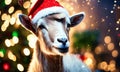 goat in santa's hat year of the goat. Selective focus. Royalty Free Stock Photo