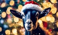 goat in santa's hat year of the goat. Selective focus. Royalty Free Stock Photo