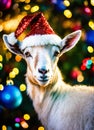 goat in santa's hat year of the goat. Selective focus. Royalty Free Stock Photo