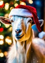 goat in santa's hat year of the goat. Selective focus. Royalty Free Stock Photo