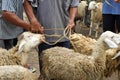 Goat seller at Traditional market Pingit, Temanggung, Central Java, Indonesia. Royalty Free Stock Photo