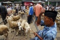 Goat seller at Traditional market Pingit, Temanggung, Central Java, Indonesia. Royalty Free Stock Photo